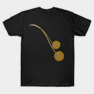 Cute Fall Branch T-Shirt